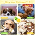 thumbnail image 3 of Dog Puzzle Toy HIPPIH, dispensador interactivo de golosinas, paquete de 2, 3 of 9