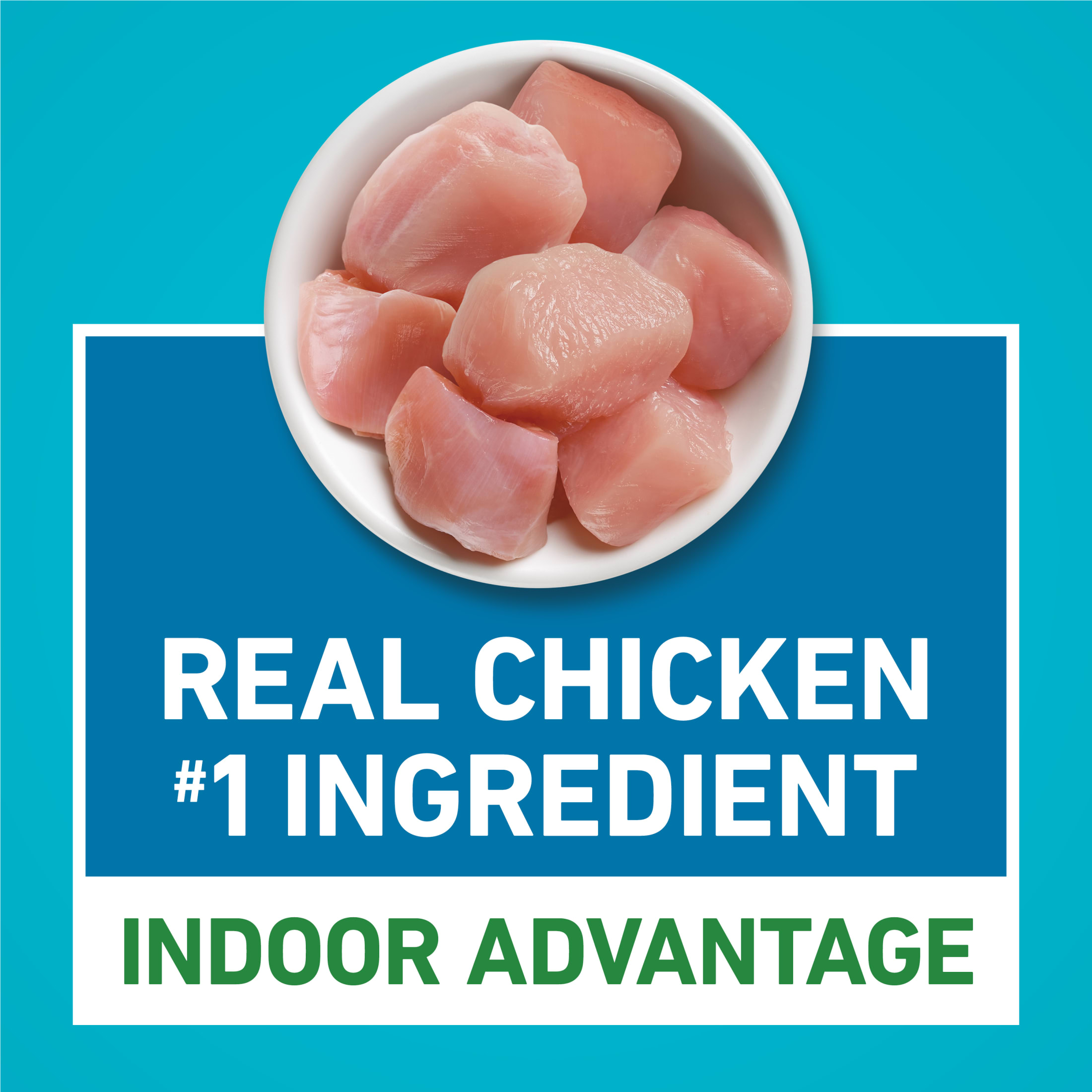 Purina ONE Plus Indoor Advantage Senior Chicken Dry Cat Food, 7 lb photo 5