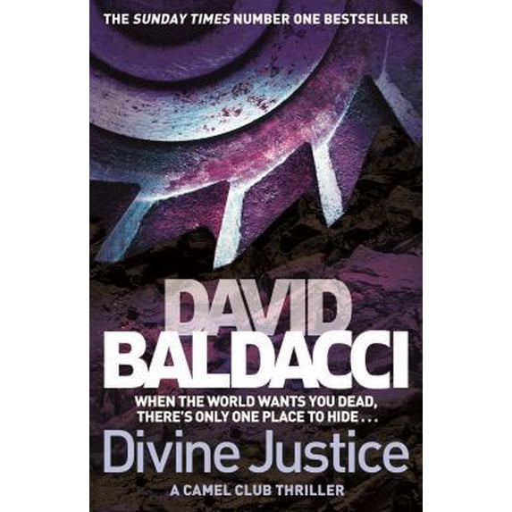 Pre-Owned Divine Justice (The Camel Club) (Paperback) 1447274318 9781447274315