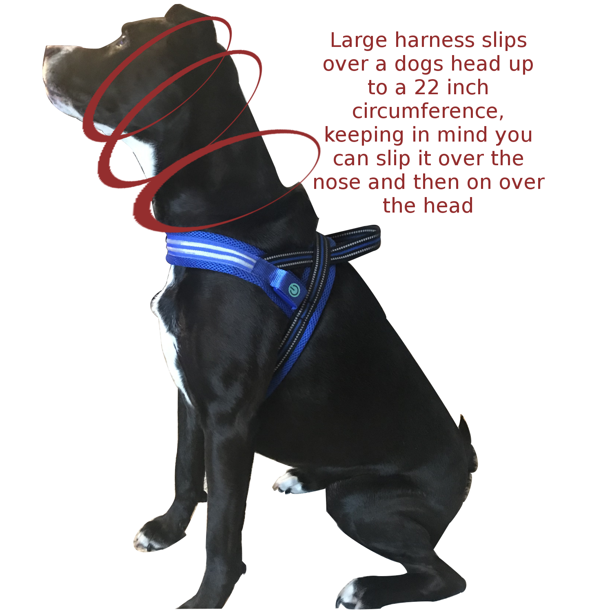 can a dog slip out of a harness