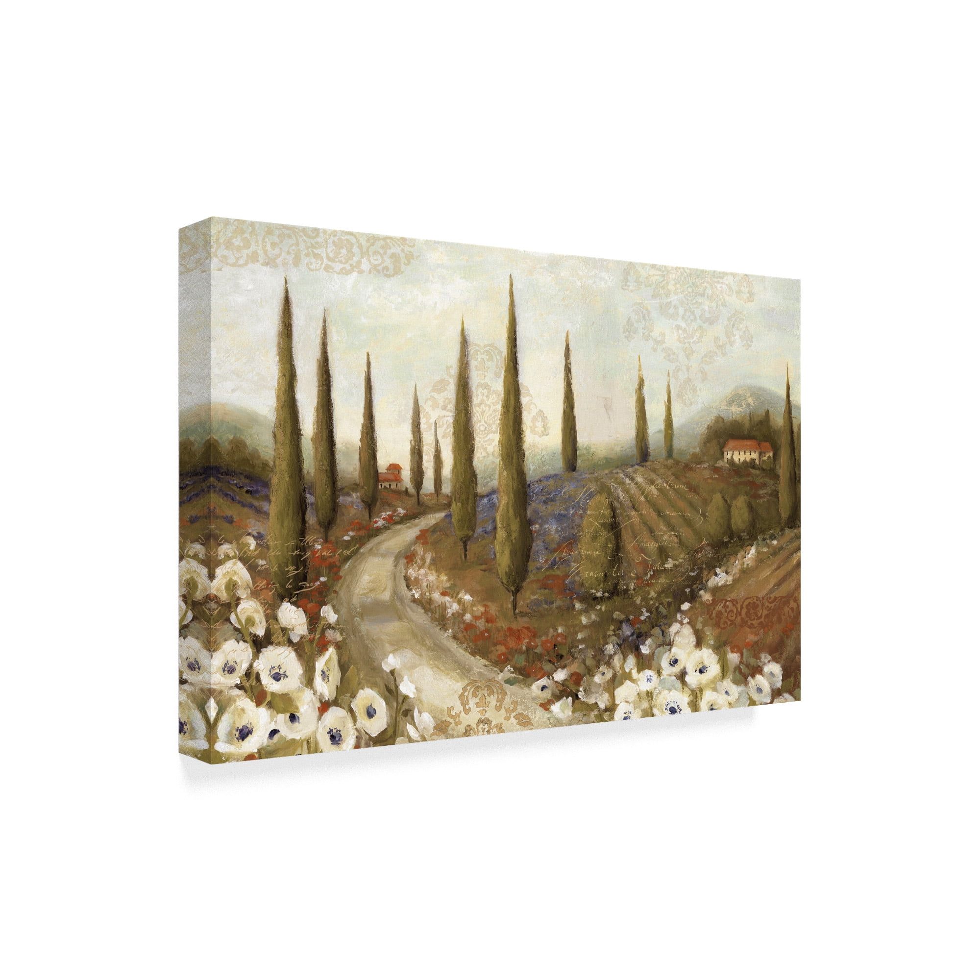 Trademark Fine Art 'Tuscany Fields I' Canvas Art by Lisa Audit