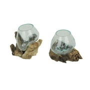 Things2Die4 Melted Glass On Teak Driftwood Decorative Bowls (Set of 2)