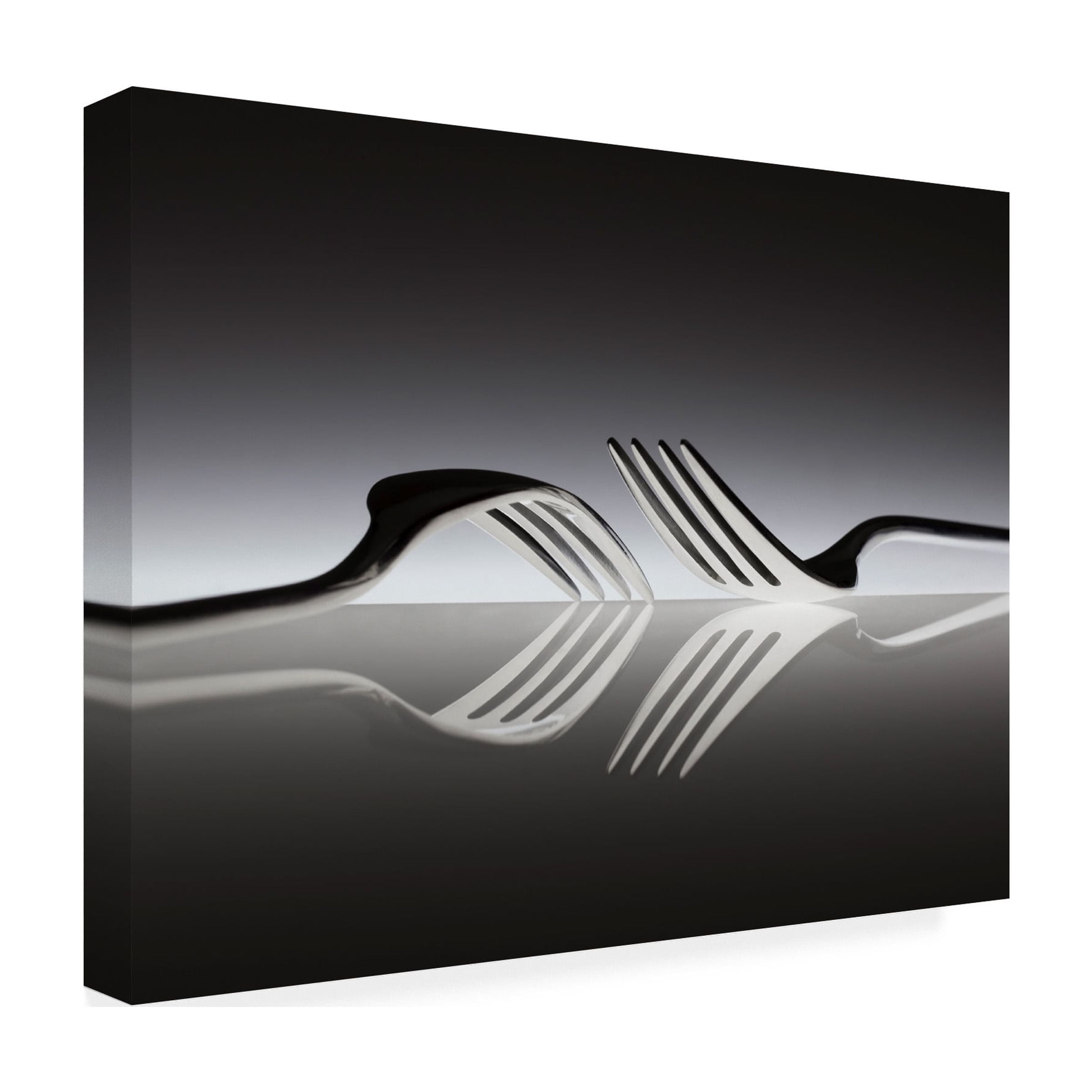 Wieteke De Kogel 'Opposites' Canvas Art