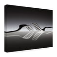 thumbnail image 4 of Wieteke De Kogel 'Opposites' Canvas Art, 4 of 4