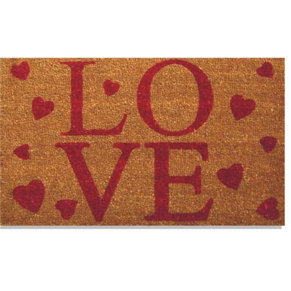 Geo Crafts G360 Love 18 x 30 in. PVC Vinyl Back with Hearts Doormat
