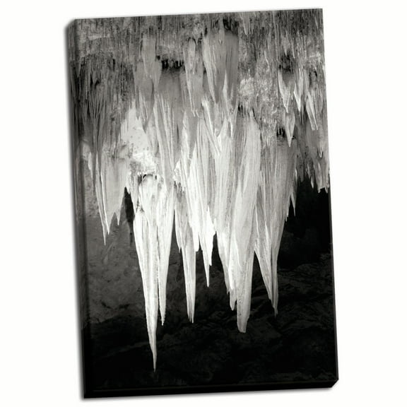 Gango Home Decor Carlsbad Cavern I BW by Douglas Taylor (Ready to Hang); One 24x36in Hand-Stretched Canvas