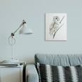 thumbnail image 4 of Stupell Soft Arctic Owl Perched on Minimal Branch Canvas Wall Art 16 x 20, 4 of 5