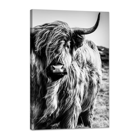 Highland Cow Wall Art Canvas Black and White Cow Picture Prints Artwork for Bathroom Farmhouse Wall Decor