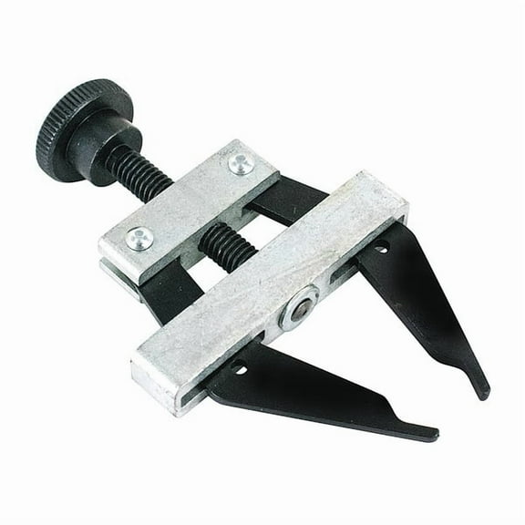 Fenner Drives Chain Puller,For Roller Chain,25-35 ANSI 5800250