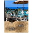 thumbnail image 3 of LeadingWare TRS-0703 Unbreakable Tritan 23 oz Wine Glass - Set of 4, 3 of 5