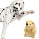 thumbnail image 3 of Erizo de peluche con sonido para Mascotas Ndcxsfigh juguete de erizo suave para Masticar marrón, 3 of 6