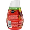 thumbnail image 3 of Renuzit - 1717587 Blissful Apple & Cinnamon Adjustable Gel Air Freshener, 7oz Cone (Pack of 12), 3 of 5
