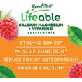 thumbnail image 2 of Lifeable Calcium Magnesium and Vitamin D Gummies – 90 Gummies, 2 of 7