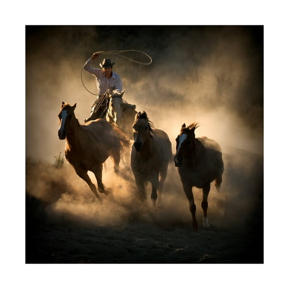 Stephen Rostler 'Roundup' Canvas Art