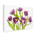 thumbnail image 4 of Canvas Wall Art - Jacky Parker 'Vibrant Spring' Wall Art for Living Room, Bedroom, or Office Décor by Trademark Fine Art - 24 x 16 Inches, 4 of 4