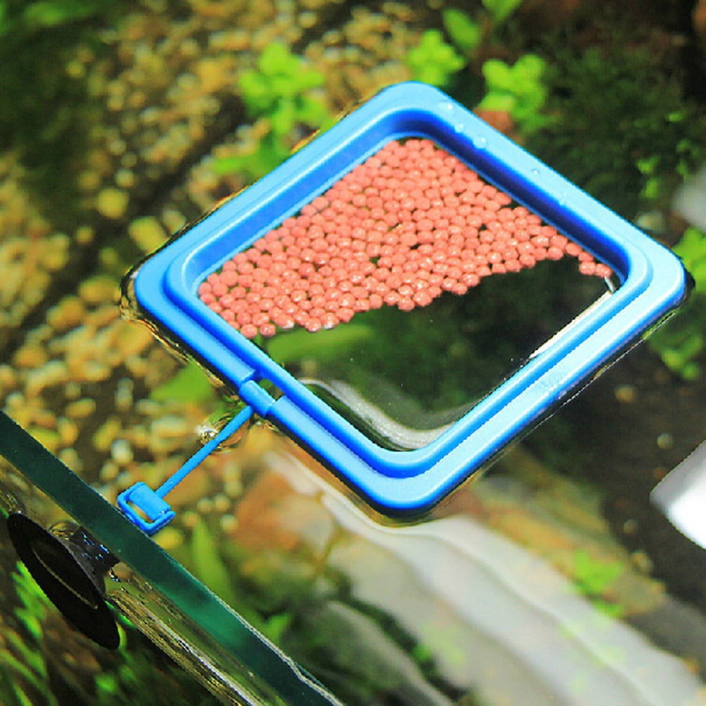 Aquarium Supplies Small Tropical Fish Feeding Circle Small Goldfish