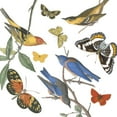 thumbnail image 2 of Portfolio, Wild Apple 26x26 White Modern Wood Framed Museum Art Print Titled - Natures Flight I No Ferns, 2 of 4