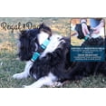 thumbnail image 6 of Regal Dog Products Custom Fit Waterproof Collar with High Strength Buckle & Heavy Duty Ring, 6 of 9