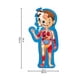 thumbnail image 2 of Puzzle con forma de cuerpo humano, 60 piezas, educativo para mayores de 4 años, 2 of 7