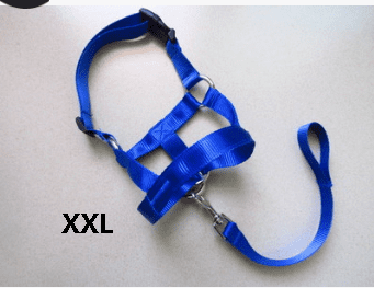 Faithtur Dogs Mouth Rope Gentle Halter Leash Leader Pet Mouth Traction Set Adjustable Head Collar Pet Accessories