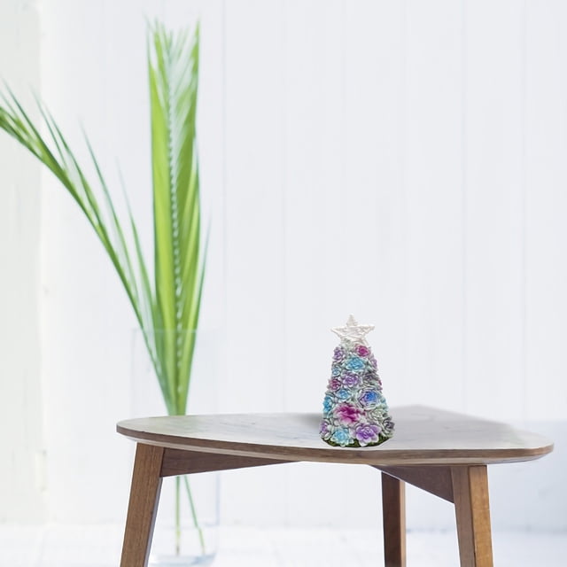 DPTALR Surprise Christmas Gift Succulent Christmas Tree