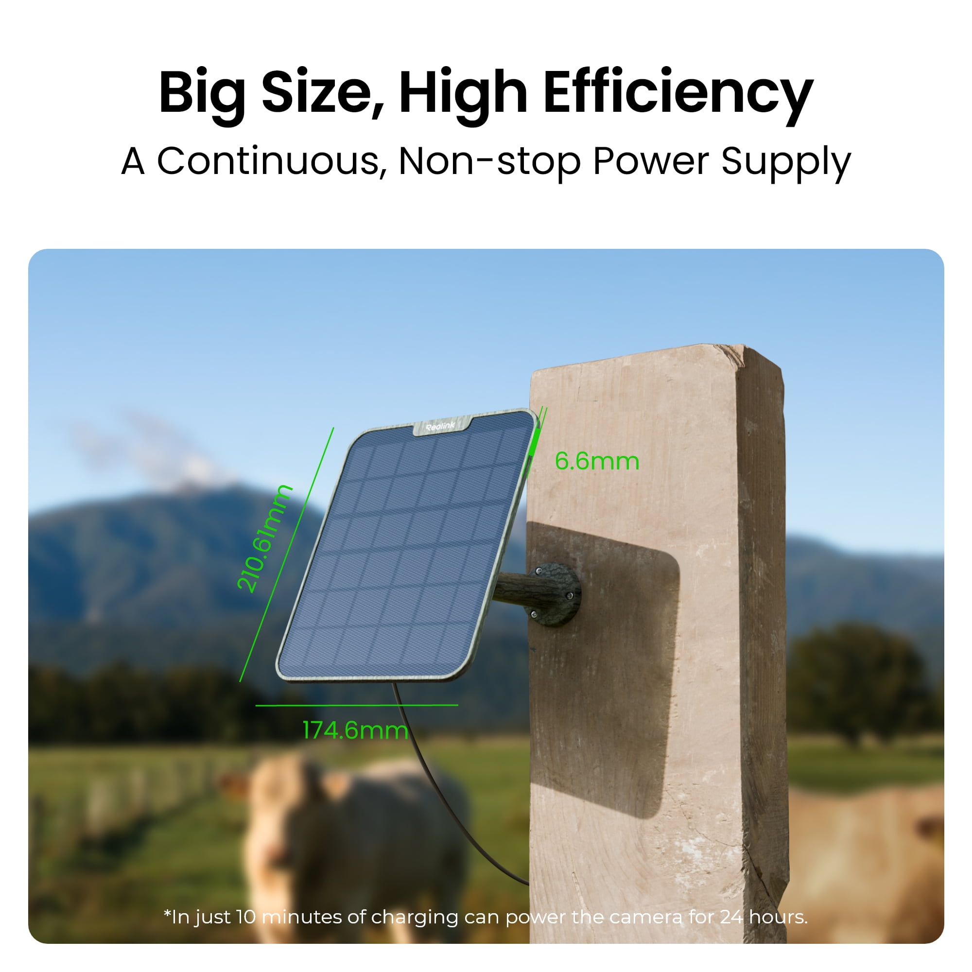 Reolink 6W Solar Panel Camouflage for Battery-Powered Camera,Dual-Lens Security Camera,Home Hub System