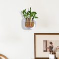 thumbnail image 3 of WRKEKC Clearance Wall-Mounted Transparent Hydroponic Planter Box, Creative Storage for Bathrooms and Offices, 3 of 6