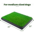 thumbnail image 6 of Vivifying Turf Potty Pads for Puppy Dogs Pee Training, Dog Grass Pet Loo Indoor/Outdoor,Washable Pet Mat, Fake Artificial Grass for Dogs Potty,25"x20",with Tray, 6 of 8