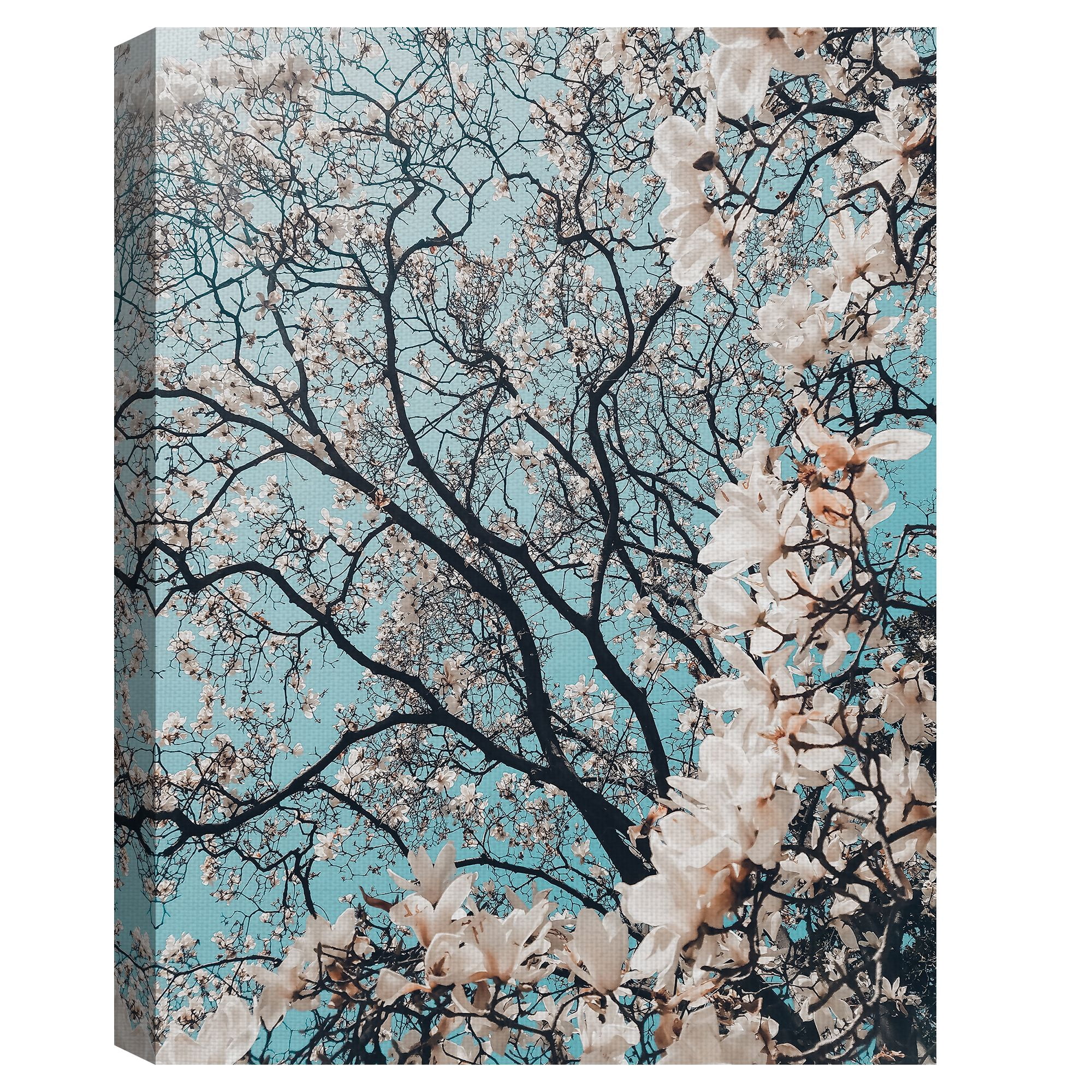 Masterpiece Art Gallery Signs of Spring Cherry Flower Blossoms by Meric Dagli Canvas Art Print 30" x 40"