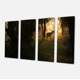 thumbnail image 2 of Cerf au Coucher du Soleil dans une Forêt Profonde - Grande Impression sur Toile de Forêt, 2 of 3