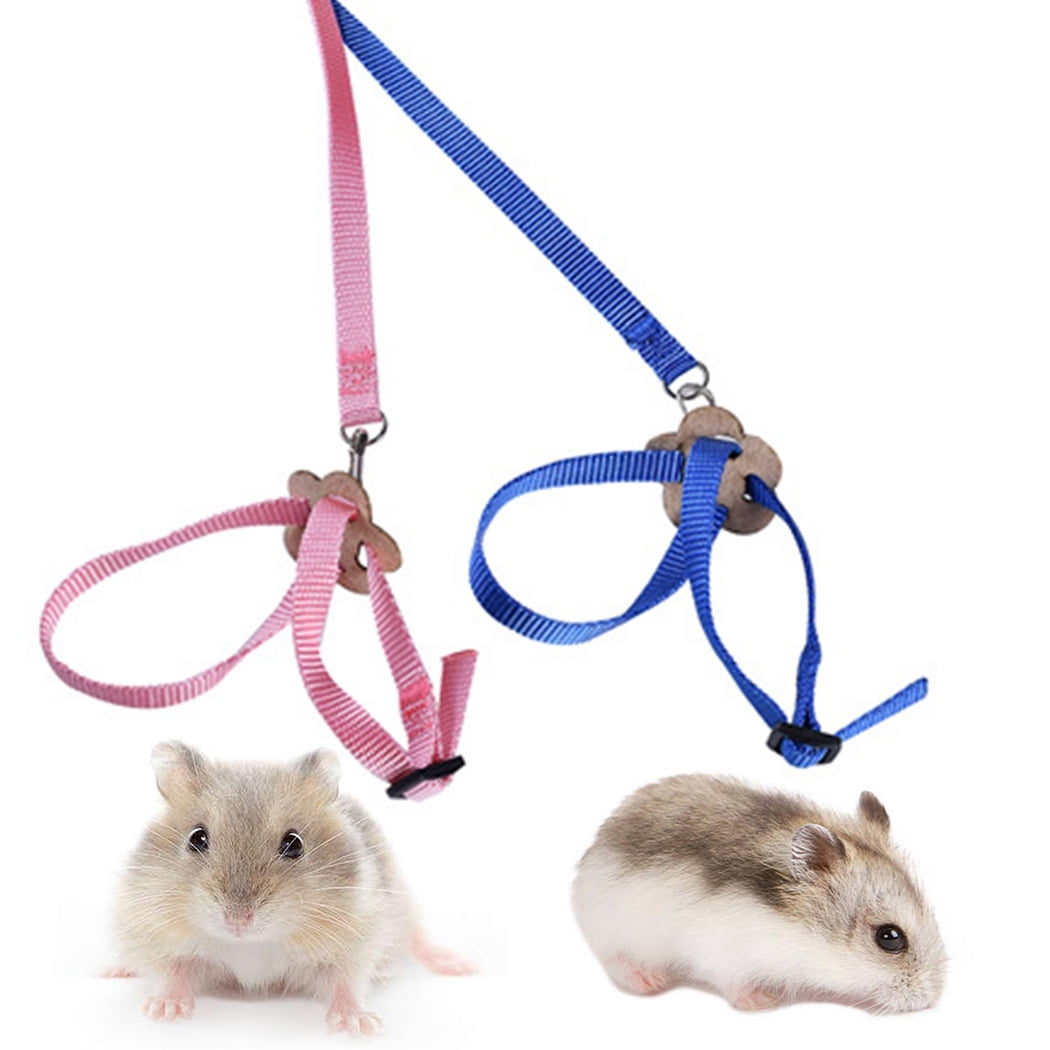 Nobrand Small Animal Leash Harness Adjustable 2pcs 8 Shape Parrot Leash Hamster Leash Other