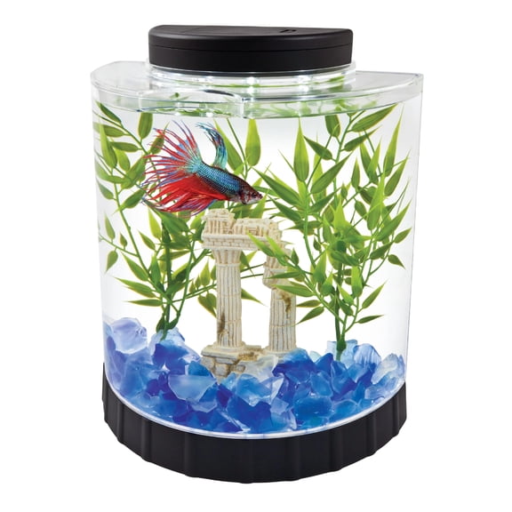 LED Half Moon 1.1 Gallon Fish Tank Kit for Betta Fish | Aquarium Kit Includes Moveable LED Light and 1.1 Gallon Acrylic Tank With Feeding Hole, Ideal for Beginners