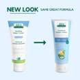 thumbnail image 4 of Aleva Naturals Soothing Diaper Cream - 100ml, 4 of 7