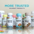 thumbnail image 7 of Solaray Rose Hips Fruit 550mg | Healthy Skin, Joints & Immune Function Support | Source of Vitamin C & Bioflavonoids | Non-GMO & Vegan | 100 VegCaps, 7 of 7
