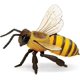 thumbnail image 4 of Figura de abeja de Safari Ltd. - Modelo realista de 14 cm - Juguete educativo para niños, niñas y niños a partir de 3 años, 4 of 5
