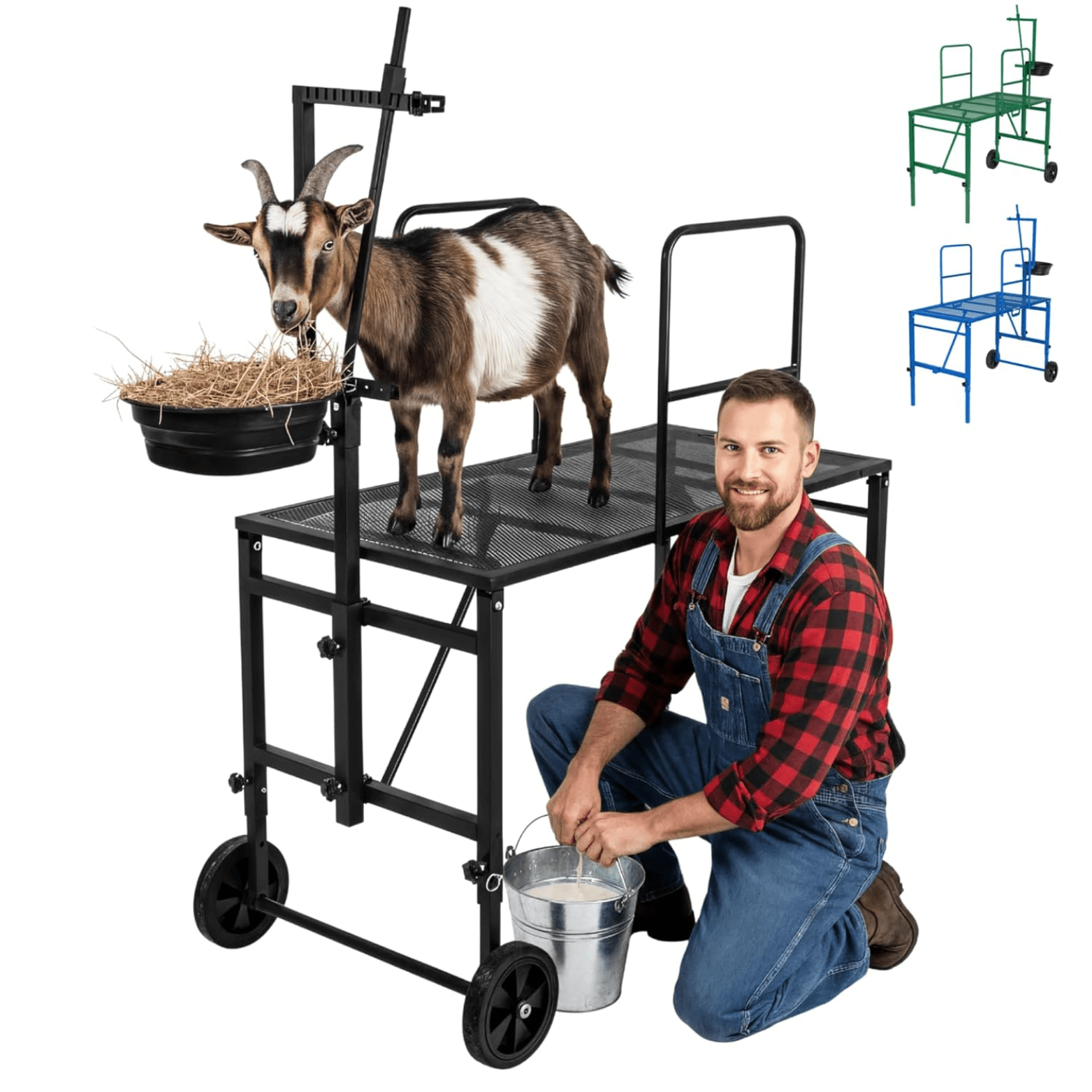 Goatzy Goat Stand with Adjustable Headpiece & Legs Goat Milking Stand with Feeder Rails & Wheels Stanchion for Grooming & Hoof Trimming Sheep Stand for Shearing Heavy-Duty Steel Platform Black