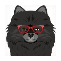 Furbaby Affiliates 'Pomeranian Wearing Hipster Glasses 2' Canvas Art