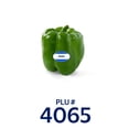 thumbnail image 6 of Fresh Green Bell Pepper, Each, 6 of 6