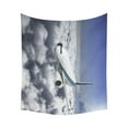 thumbnail image 3 of ABPHQTO Tapiz de pared de un avión de pasajeros moderno 128x150 cm Tapices para colgar en la pared, 3 of 3