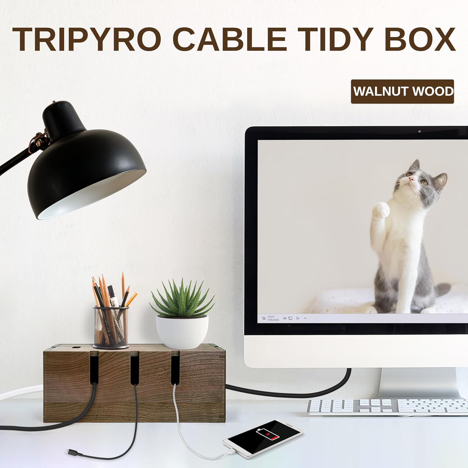 Elitzia Natural Walnut Wood Cable Management Box Desk Wire Organiser with Magnetic Cover for Hiding Messy Cables Cord Storage Tidy Box Suitable for Home Office Computer Desk TRPB02