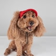 thumbnail image 5 of BT Bear Dog Hat with Ear Holes, Dog Baseball Mesh Cap, Adjustable Summer Travel Sport Hat For Small Medium Dogs Red L, 5 of 5