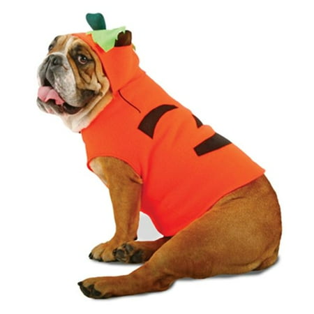 Medium Pumpkin - Zelda Pumpkin Pet Medium