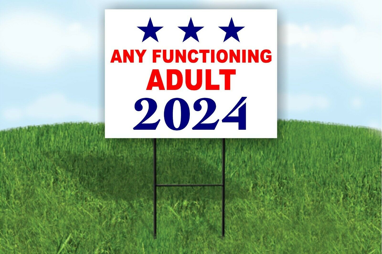 Work House Signs Double Sided Any Functioning Adult 2024 for President