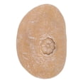 thumbnail image 1 of Pierre Commémorative pour Animaux, Marqueur de Galets de Simulation Extérieure, Monument de Jardin DIY, Cadeaux Commémoratifs Personnalisés pour Chien, Chat, 1 of 7