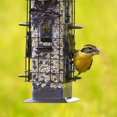 thumbnail image 4 of Perky-Pet Squirrel-Be-Gone Wild Bird Feeder, 4 of 9