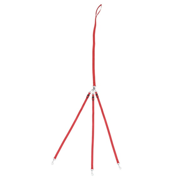 Pretyzoom Dog Leads for Small Dogs Strong Dog Lead Nylon Red 1Set