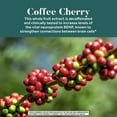 thumbnail image 6 of Neuriva De-Stress Brain Health Supplement (30 count), Brain Support With Clinically Proven Naturally Sourced Ingredients (Decaffeinated Coffee Cherry & Melon Concentrate), 6 of 14