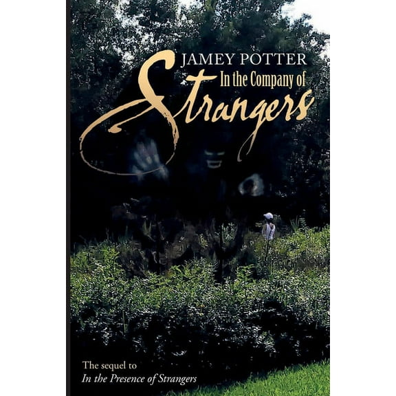 In The Company Of Strangers (Paperback)