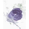 thumbnail image 2 of Loreth, Lanie 15x18 White Modern Wood Framed Museum Art Print Titled - Translucent Mauve Poppy II, 2 of 4