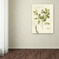 thumbnail image 3 of Lisa Audit 'Aromantique III' Canvas Art, 3 of 4